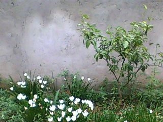 111003A041.JPG