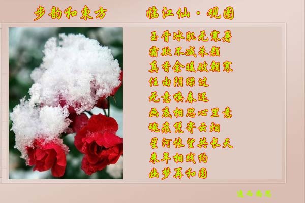 临江仙4-1.jpg