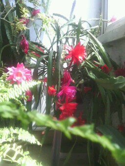 IMG20130427132005.jpg