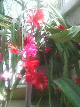 IMG20130427132031.jpg