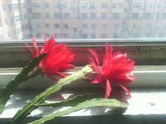 IMG20130427132047.jpg
