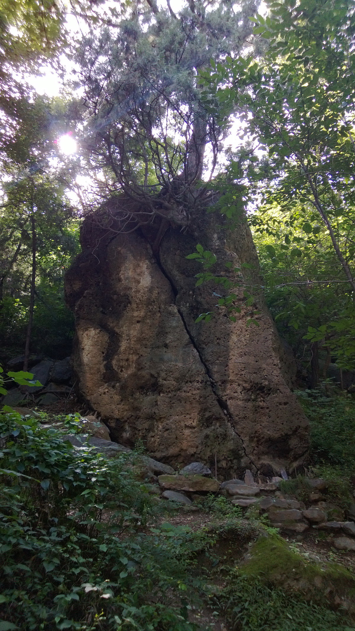 20130817 115_调整大小.jpg
