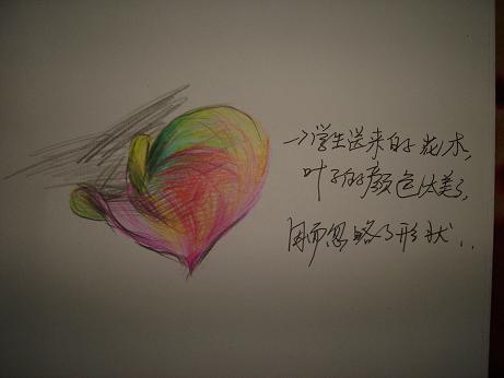 彩色的叶子.JPG